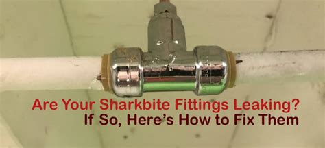 do sharkbite fittings leak|Sharkbite Fitting Leaking: How to Fix in minutes